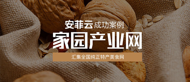 家園產(chǎn)業(yè)網(wǎng)通過(guò)搭建安菲云快速布局線上線下分銷(xiāo)渠道